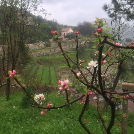 Il Melograno In Costa D'amalfi 3* Vietri sul Mare
