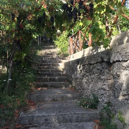 Il Melograno In Costa D'amalfi Bed & Breakfast 3*