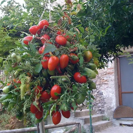 Il Melograno In Costa D'amalfi Bed & Breakfast 3*